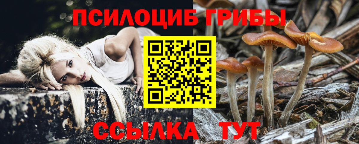 Галлюциногенные грибы прущие грибы Дивногорск