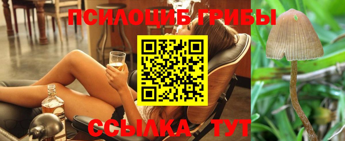 Галлюциногенные грибы мухоморы  Вход с VPN  Дивногорск  Галлюциногенные грибы Magic Shrooms 